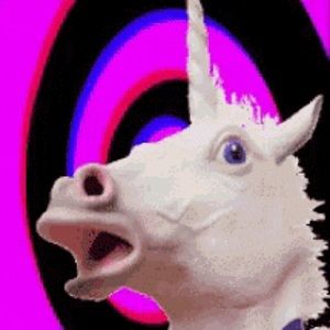 Meet your Posher, Kimmie